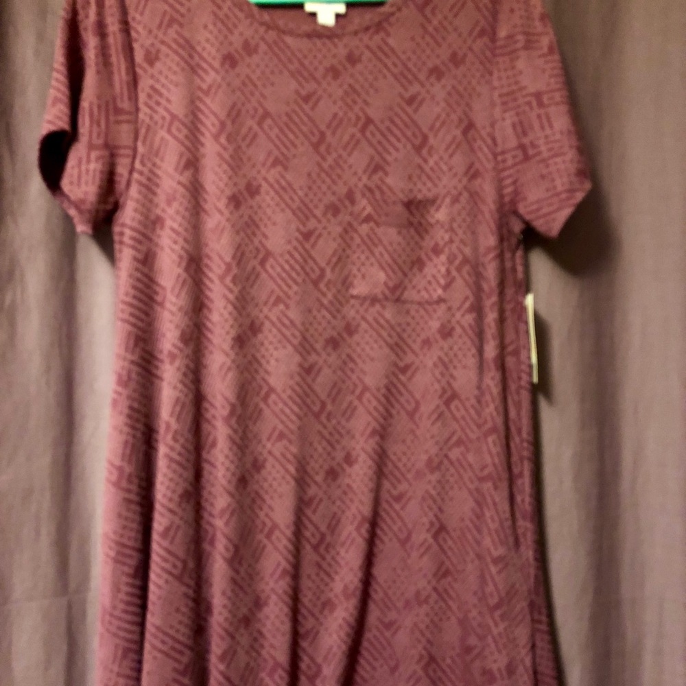 BNWT Lularoe Carly dress